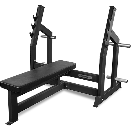 Скамья для жима горизонтальная Bronze Gym PARTNER AL-304