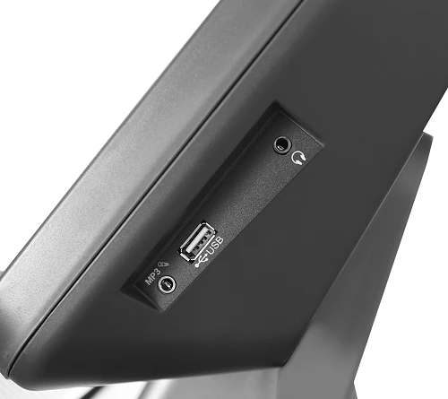 Беговая дорожка Bronze Gym T950 PRO BLACK HAWK — фото 10
