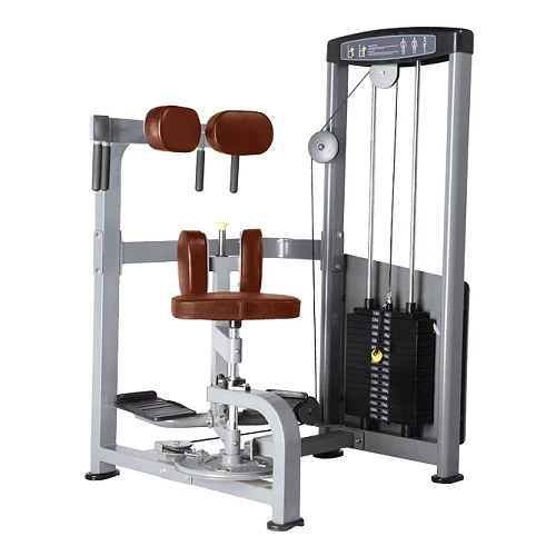 Торс-машина Bronze Gym D-011
