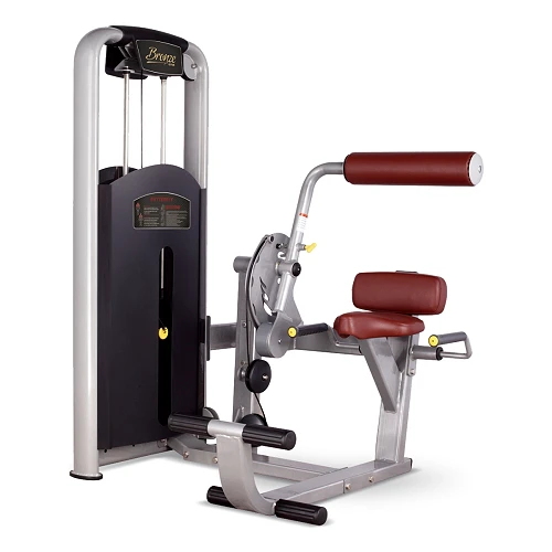 Разгибание спины Bronze Gym MV-009