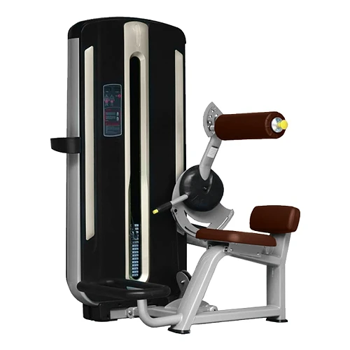 Разгибание спины Bronze Gym MNM-009