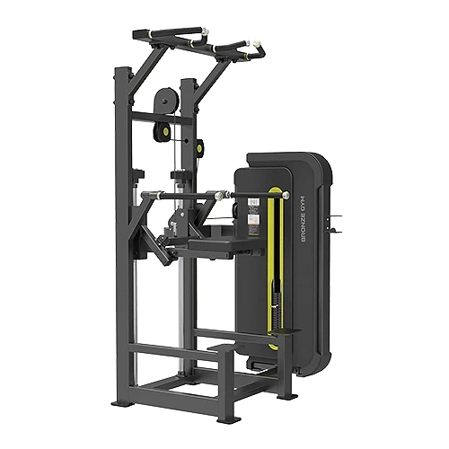 Гравитрон Bronze Gym BW-3009