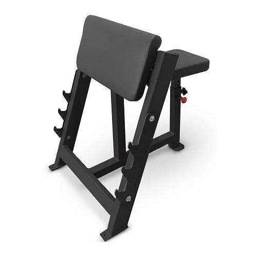 Скамья Скотта Bronze Gym AL-303
